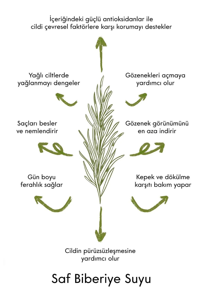 QUR Organik Biberiye Suyu Kepek ve Dökülme Karşıtı, Cilt Temizleyici, Yağlanma Dengeliyici - 2