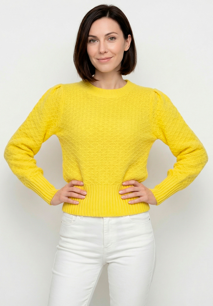 Kadın Sarı Renk Geniş Ribanalı Standart Kalıp Triko Kazak - 2