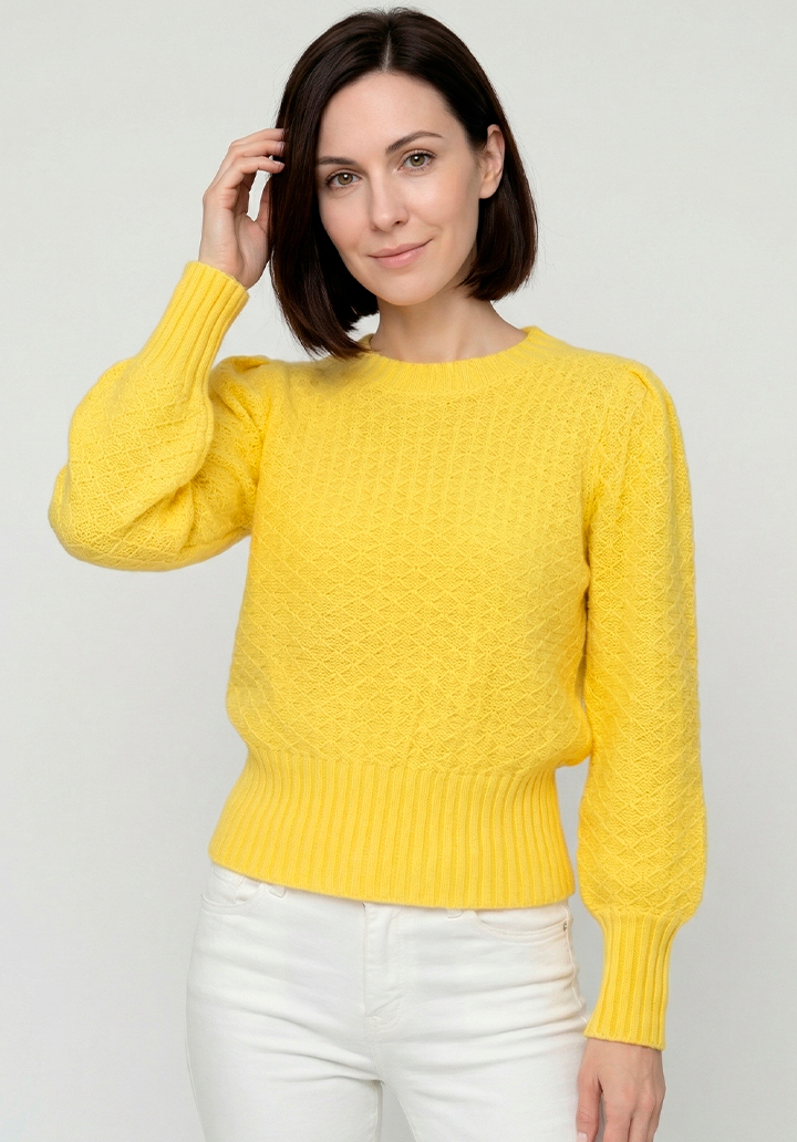 Kadın Sarı Renk Geniş Ribanalı Standart Kalıp Triko Kazak - 3