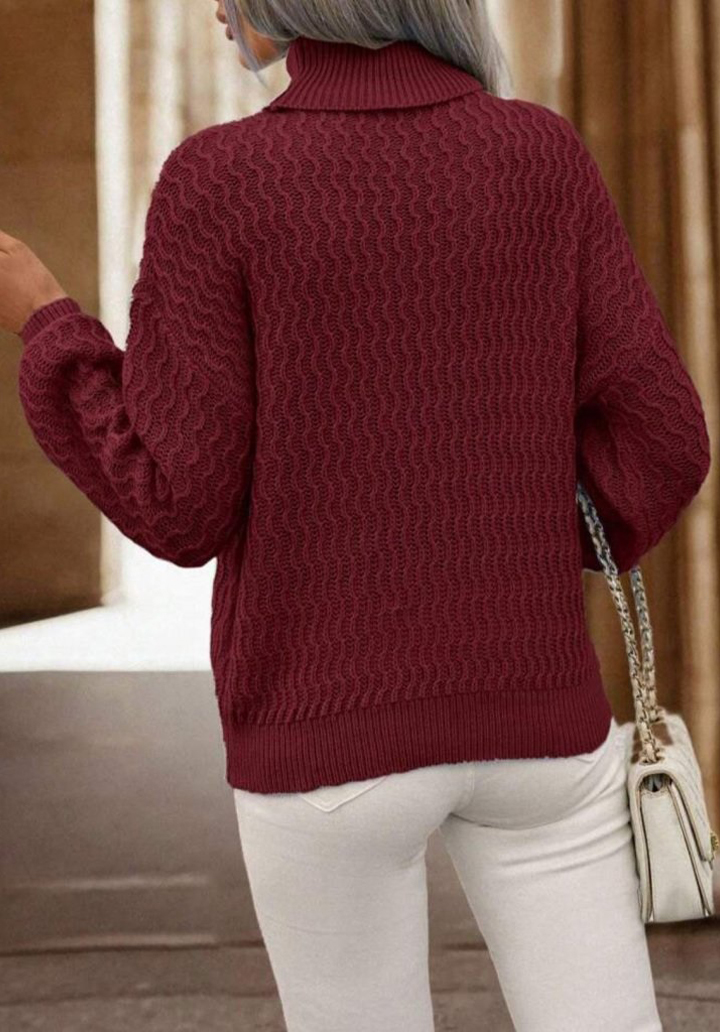 Kadın Uzun Kollu Balıkçı Yaka Triko Bluz  - 4